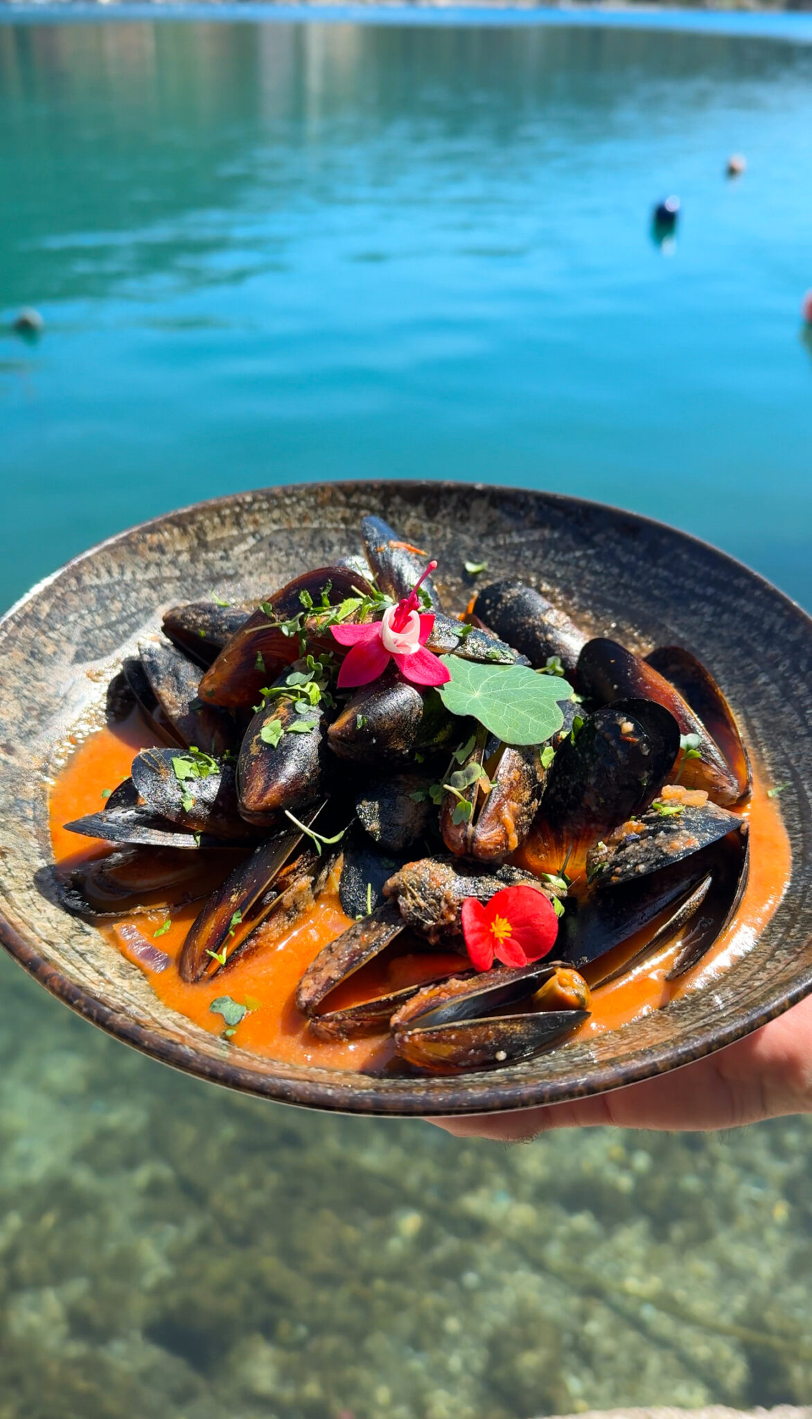 Mussels on the buzara at Dandy restaurant, Zaton near Dubrovnik