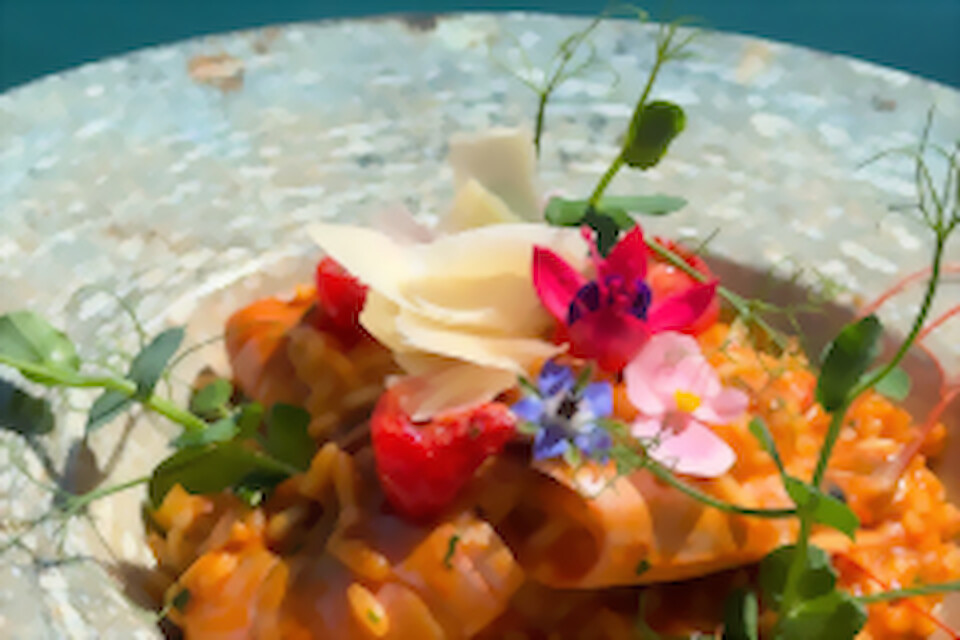 Adriatic shrimp at Dandy restaurant, Zaton