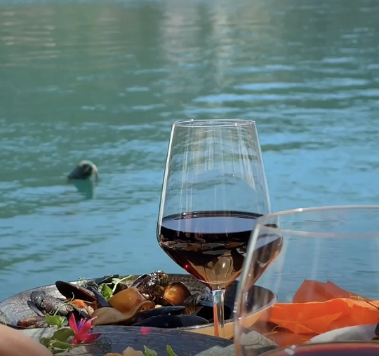 A glass of red Dalmatian wine by Zaton bay at Dandy, near Dubrovnik